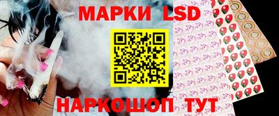 spice Пенза