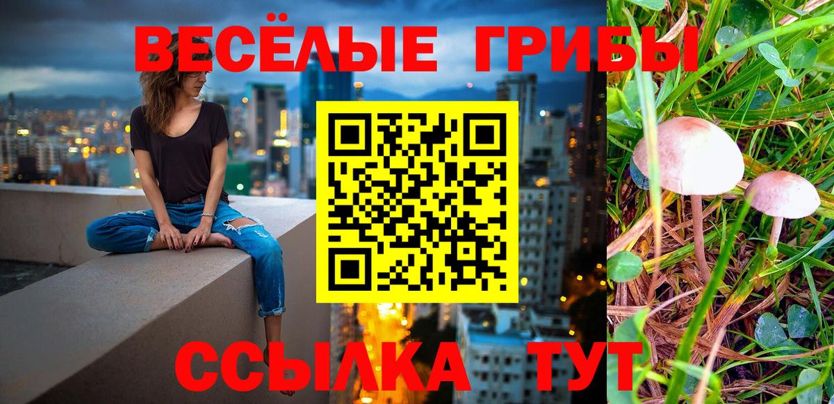 Тихорецк  Галлюциногенные грибы Cubensis  Вход с VPN  Псилоцибиновые грибы Psilocybe 