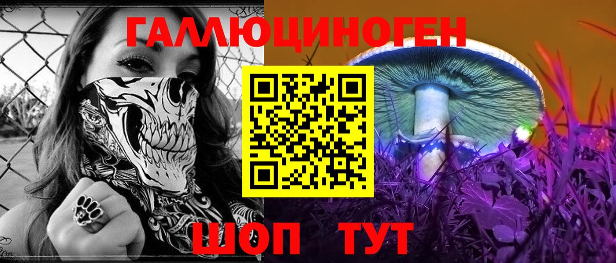 Псилоцибиновые грибы мицелий Тихорецк